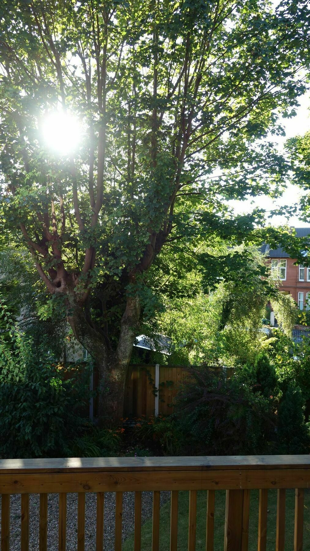 Claremont House B&B Glasgow Kültér fotó